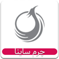 کفش ساینا